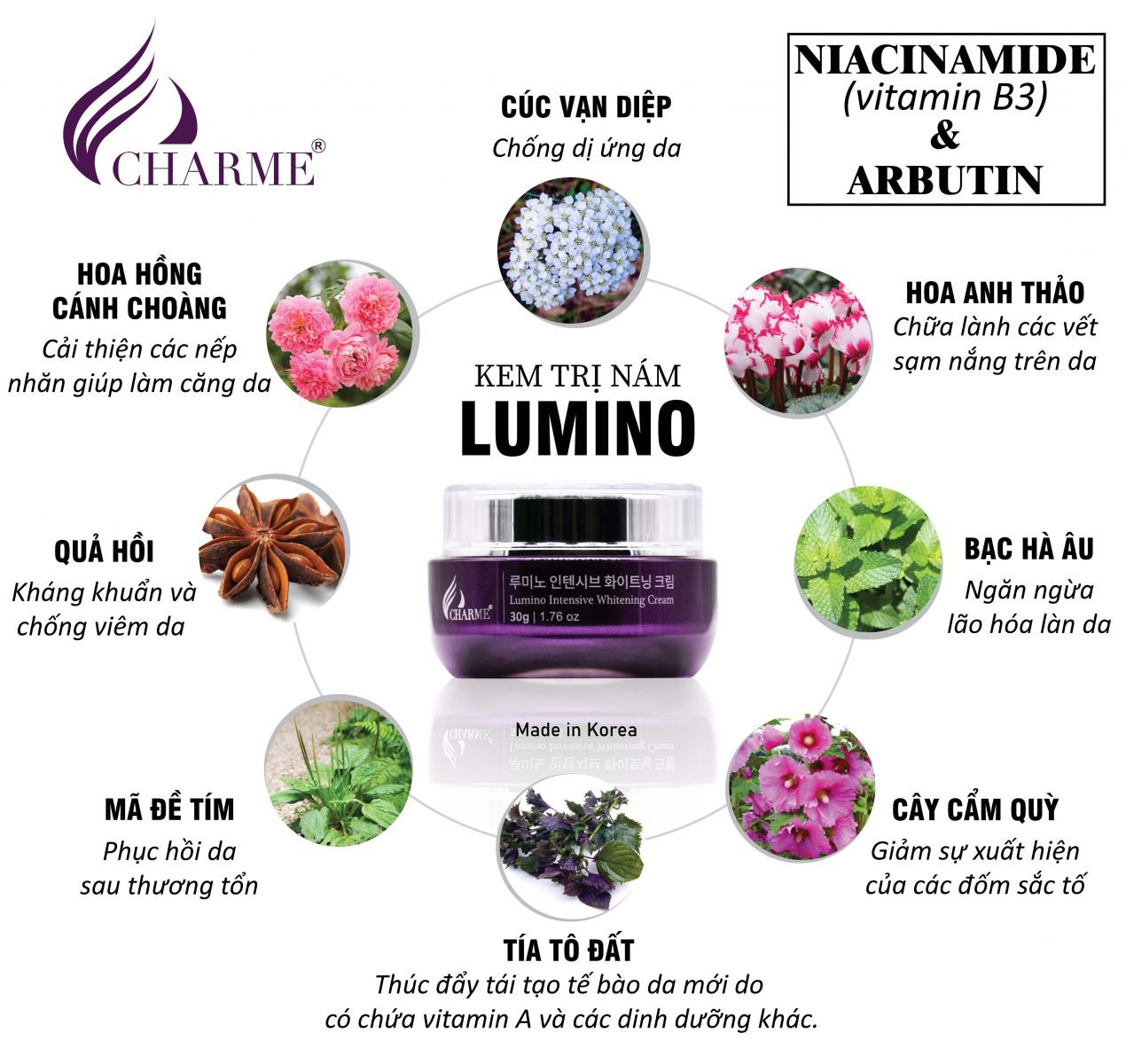 Kem Trị Nám & DưỡngTrắng Da Charme Lumino 30G